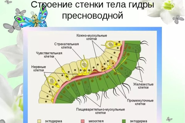 Кракен ат сайт