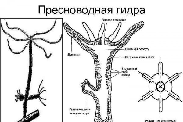 Кракен маркетплейс в тг