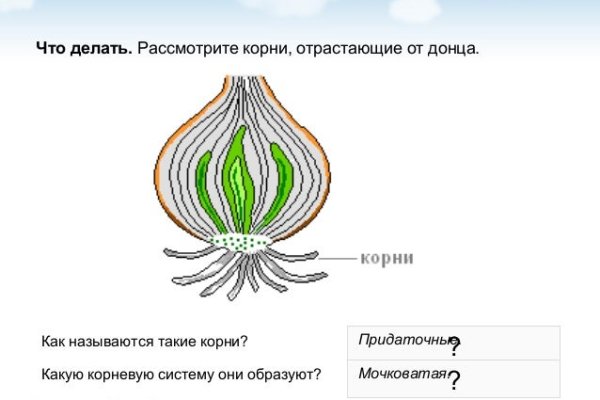 Кракен это современный даркнет